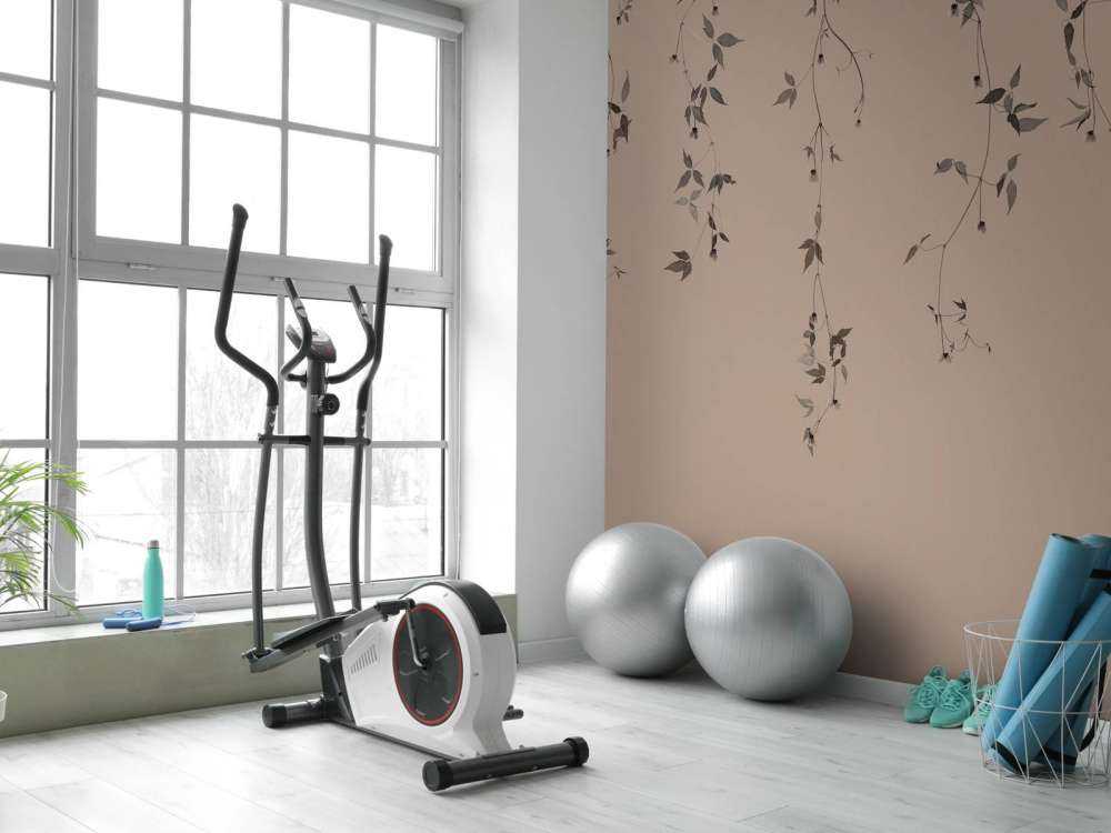 Clematis twigs on taupe