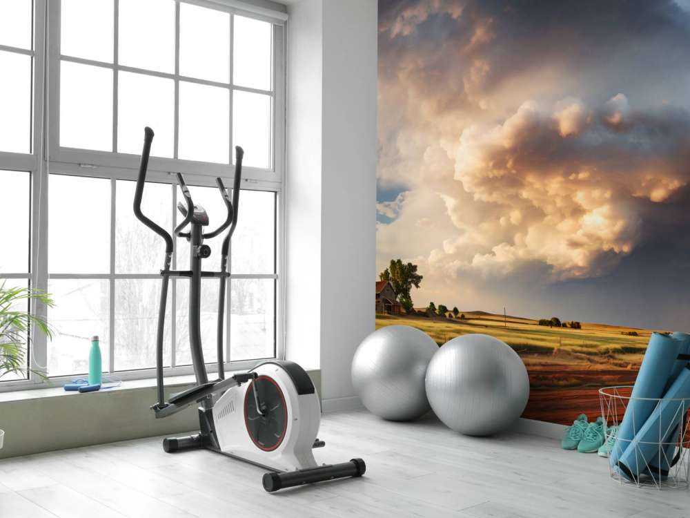 Storm over the Meadow