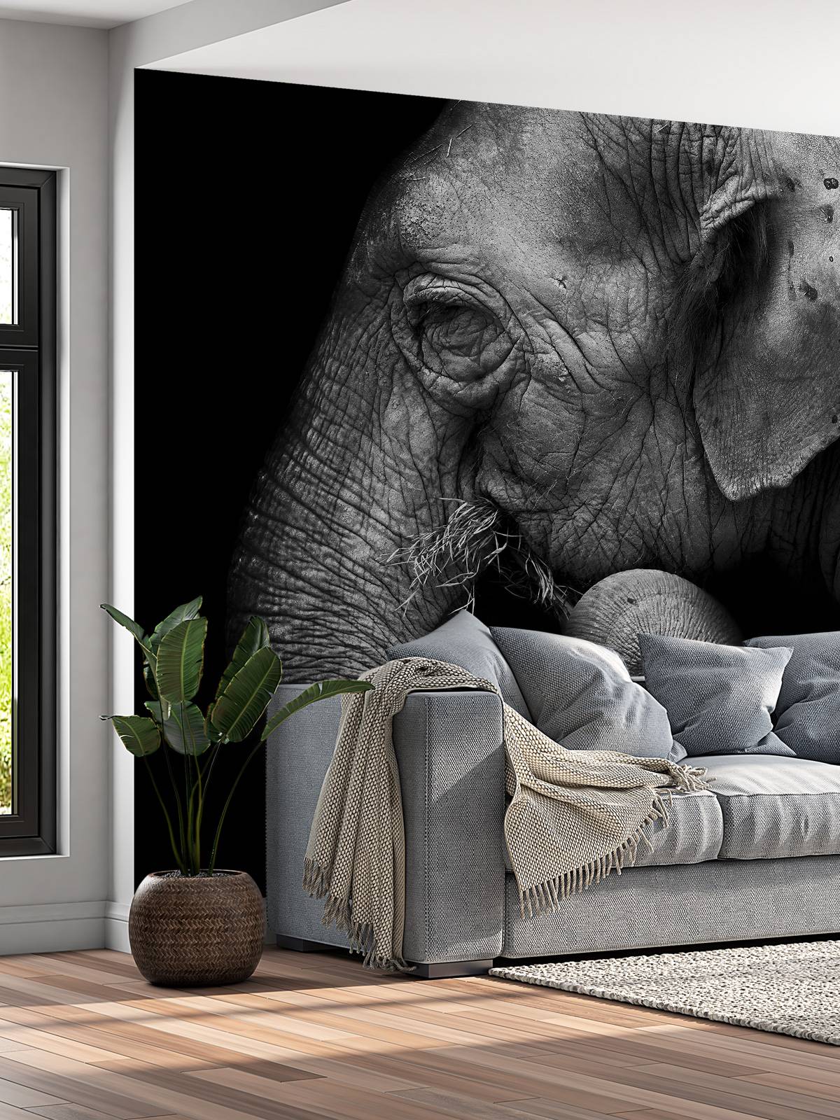 Elephant portrait