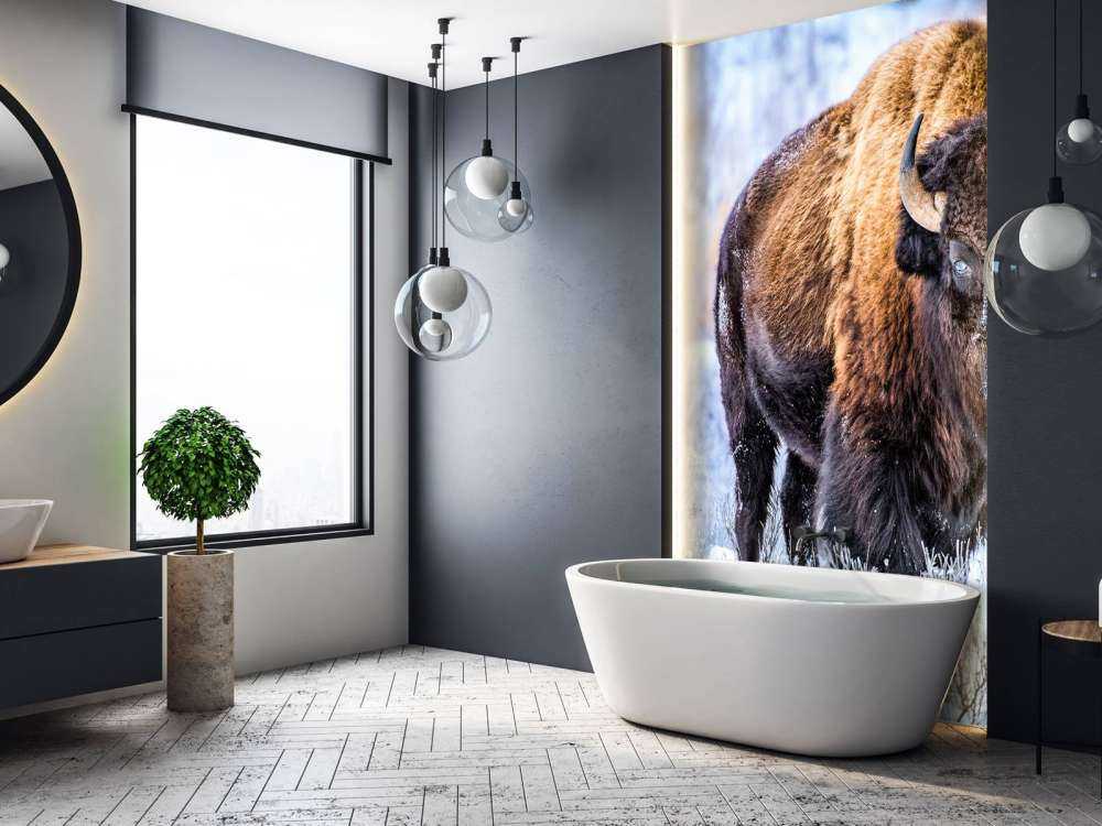 Bison
