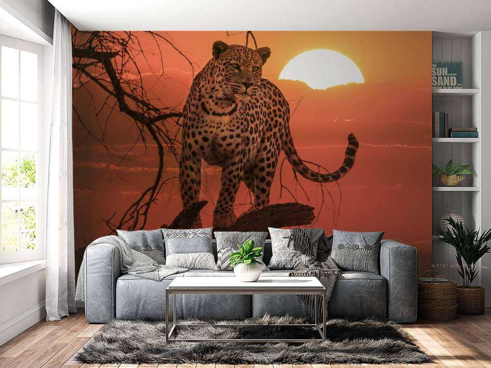 Leopard with setting sun