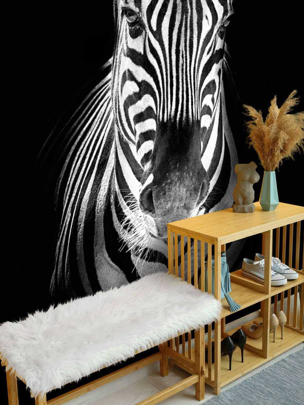 Close-up zebra black and white