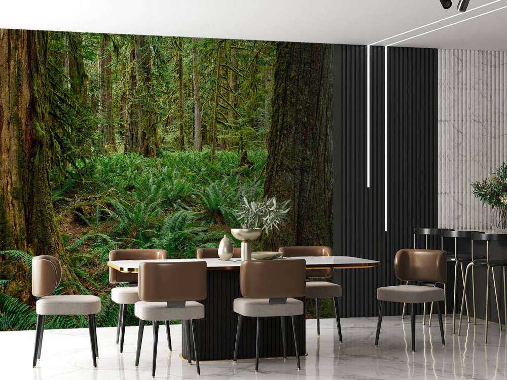 Ferns and trees 