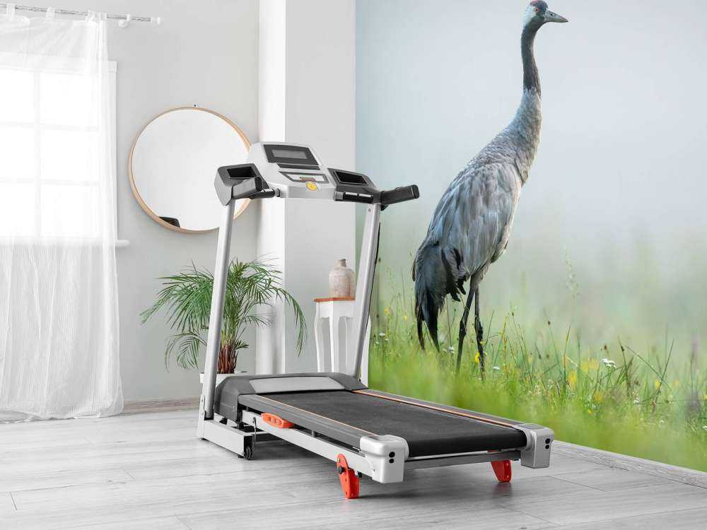 Crane in the morning mist