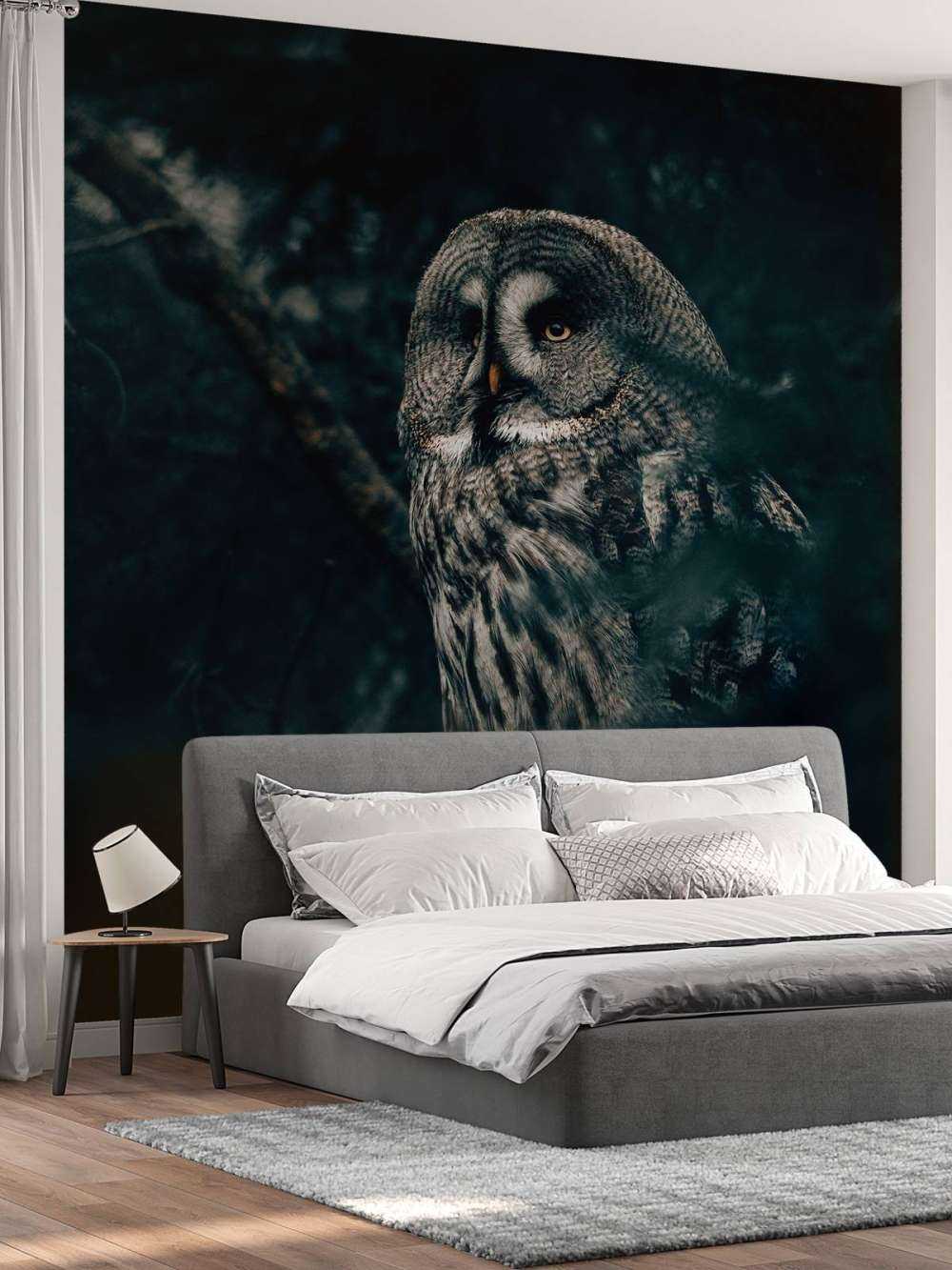 Owl in tree