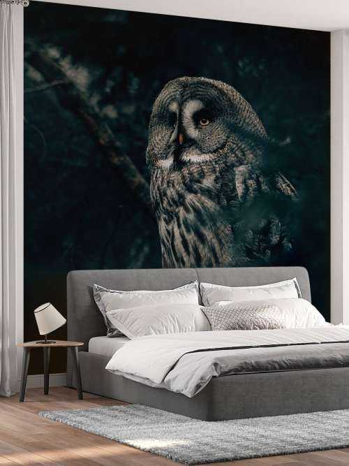 Owl in tree