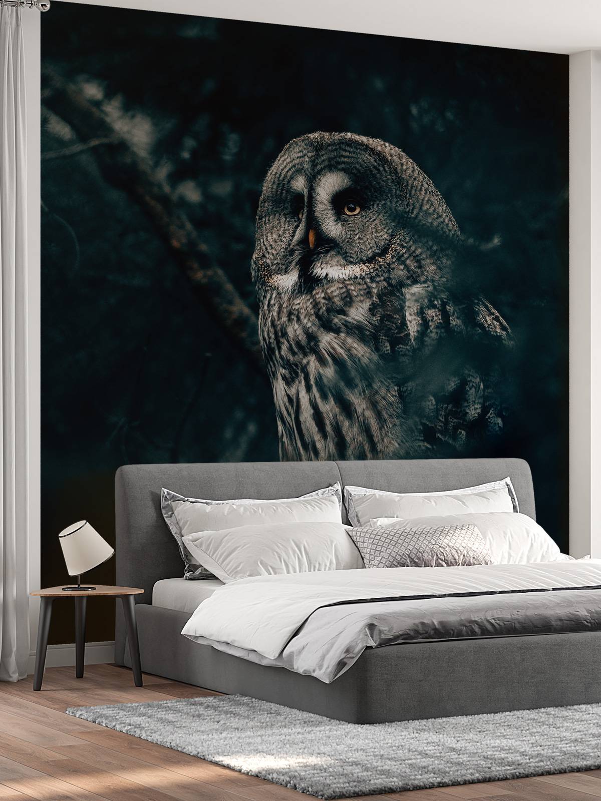 Owl in tree