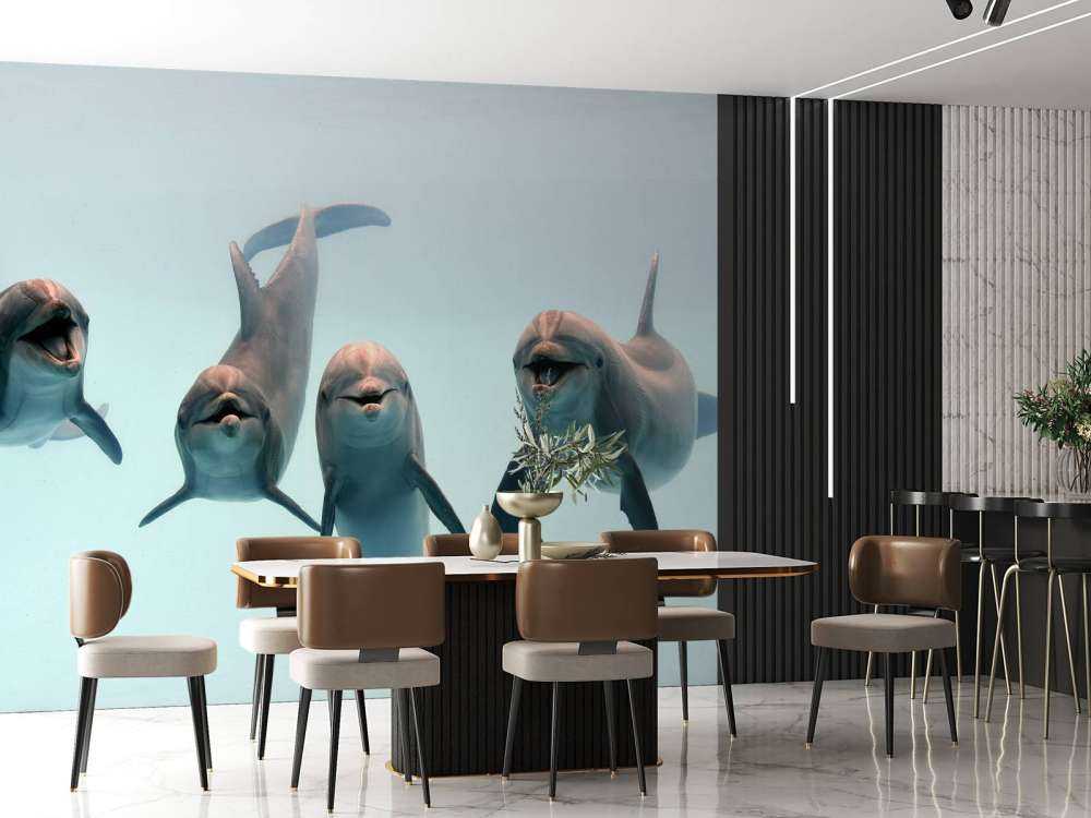 Laughing dolphins