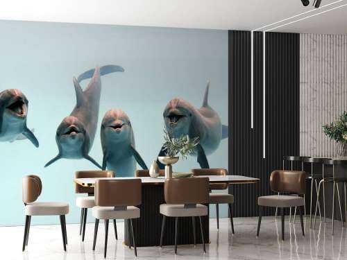 Laughing dolphins