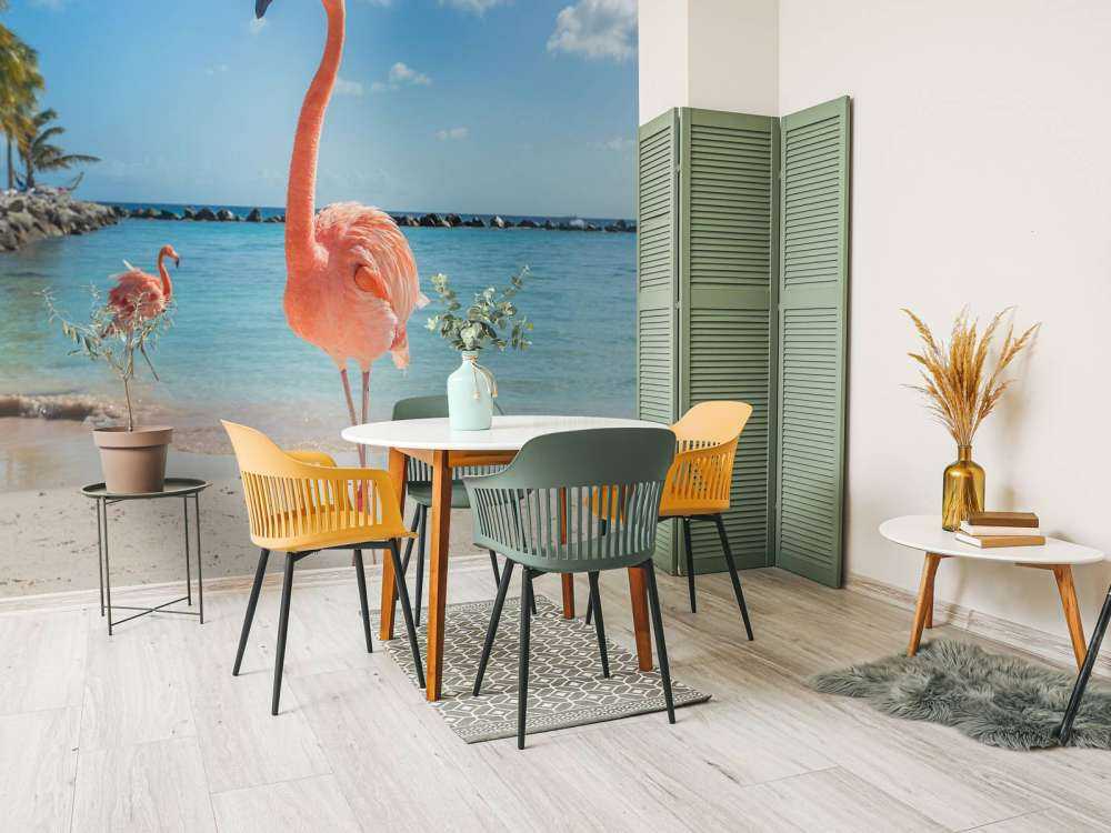 Flamingo on the beach