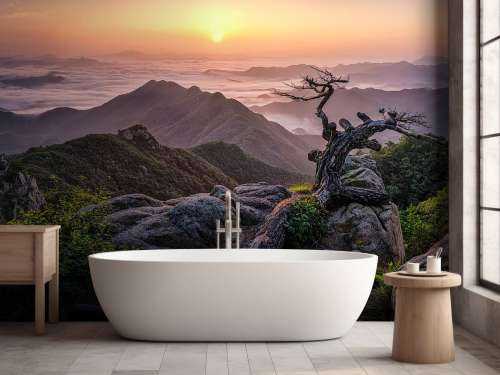 Sunrise on Top