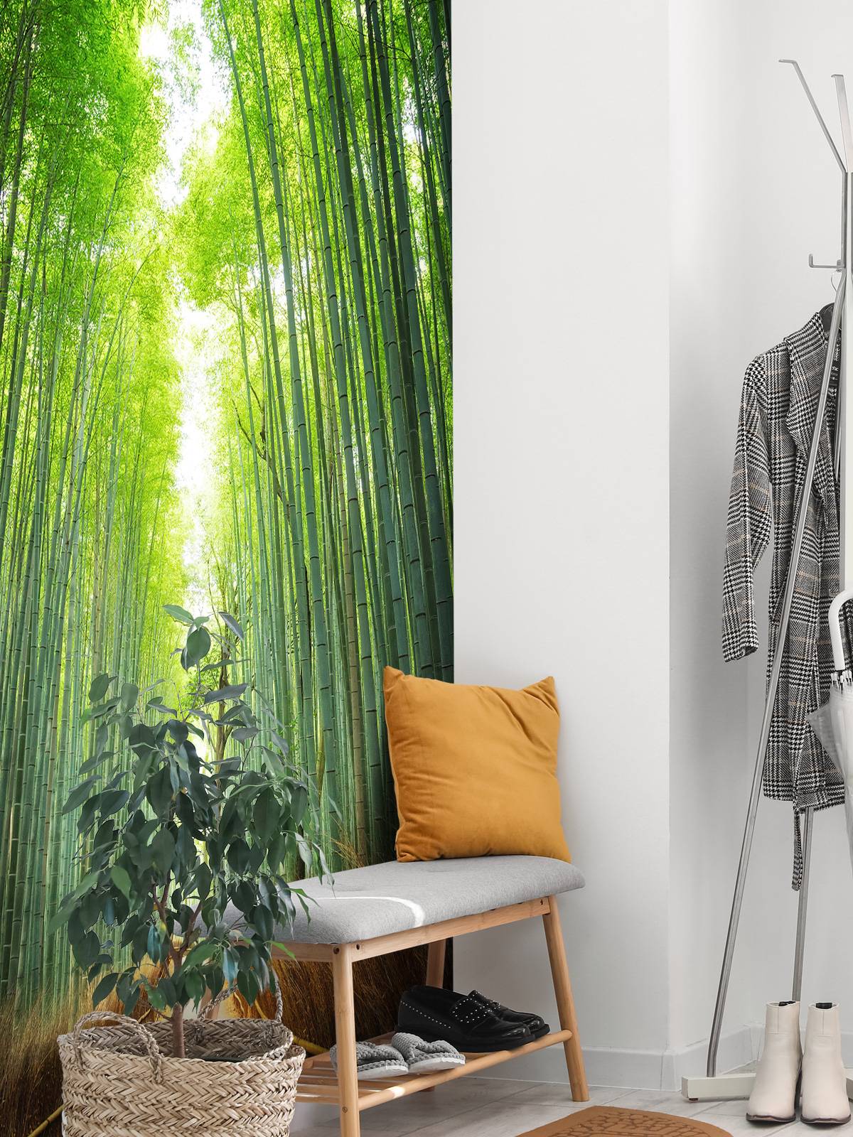 Path through the bamboo