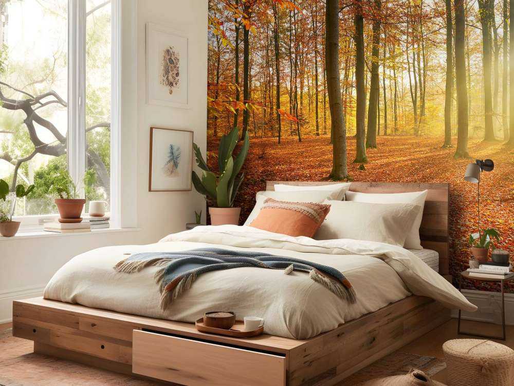 Autumn morning in forest