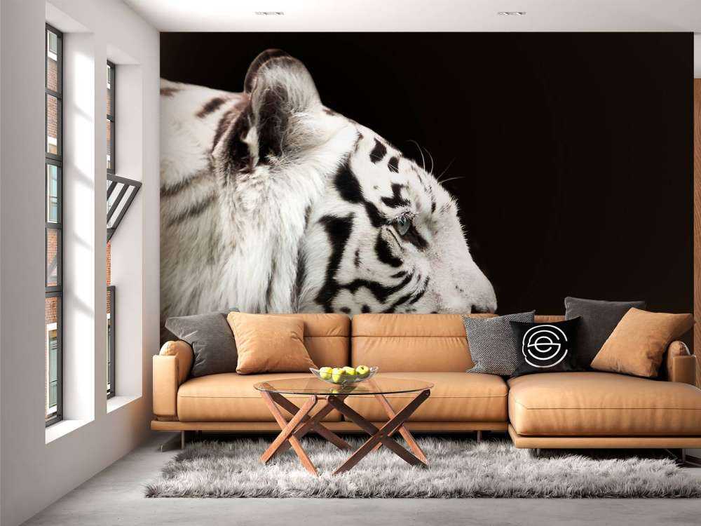 Witte tijger op zwarte achtergrond