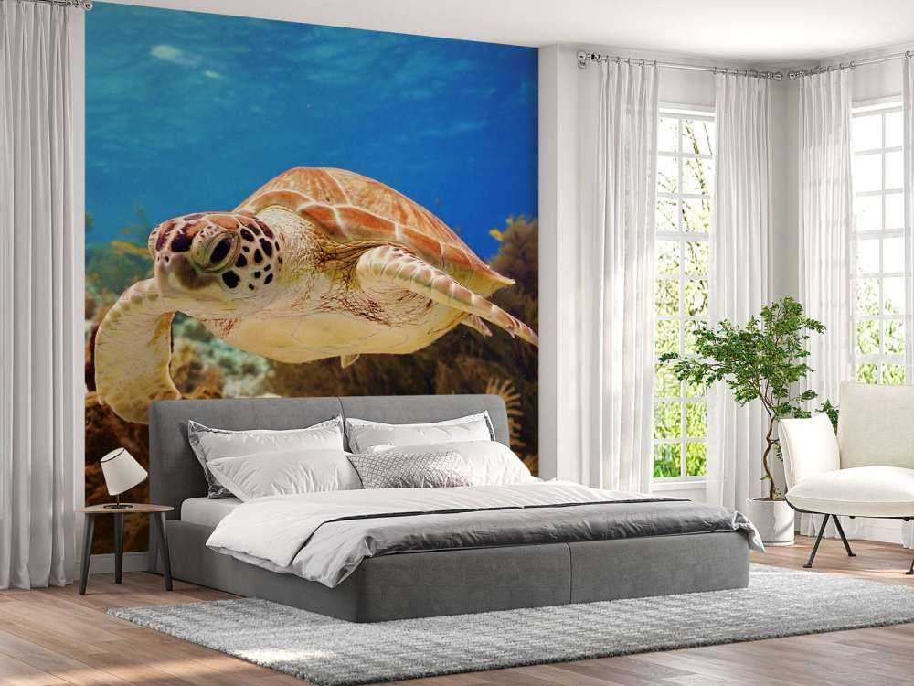 Groene zeeschildpad aan het zwemmen