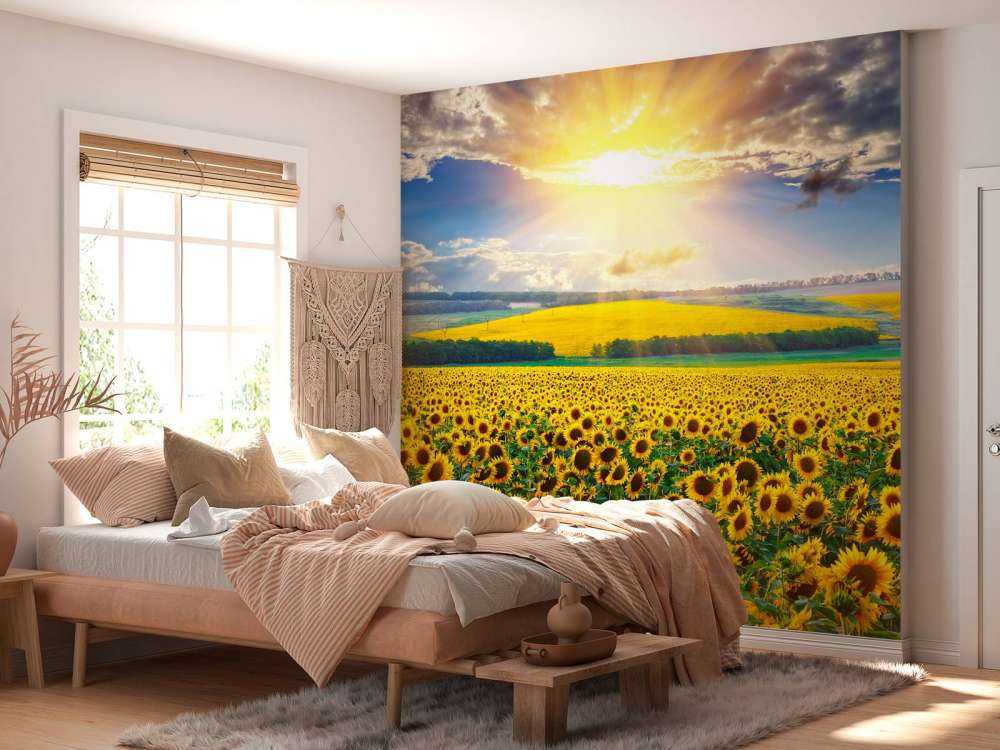 Zonnebloemen Veld met Opkomende Zon