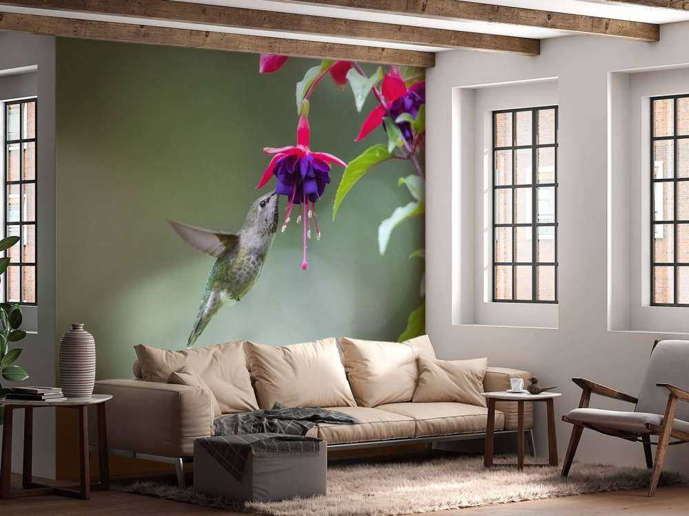 Hummingbird drinking