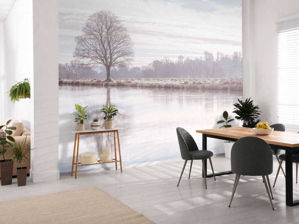 Abandoned winter landscape