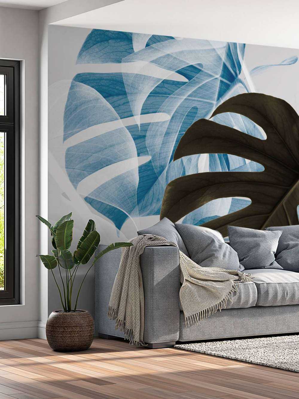 Monstera Creative 02