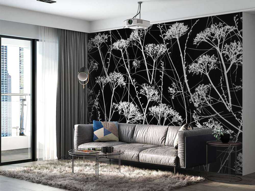 Silhouette of dried plants