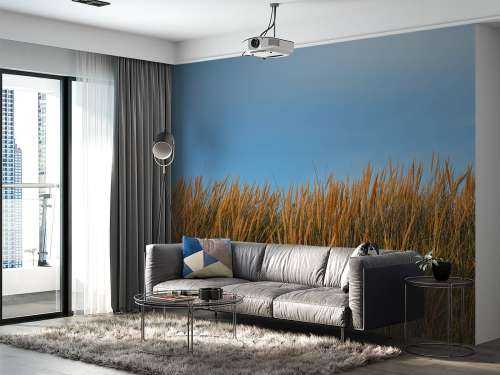 Dune grass