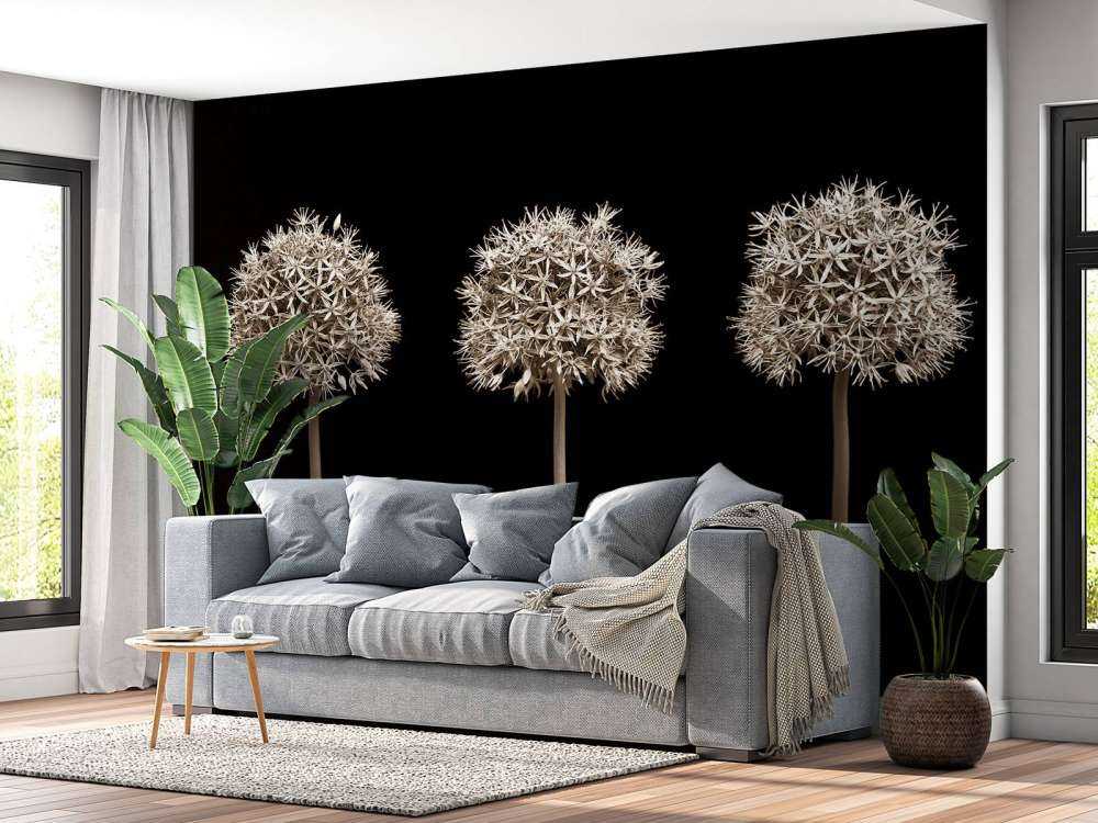 Three allium flowers in a row