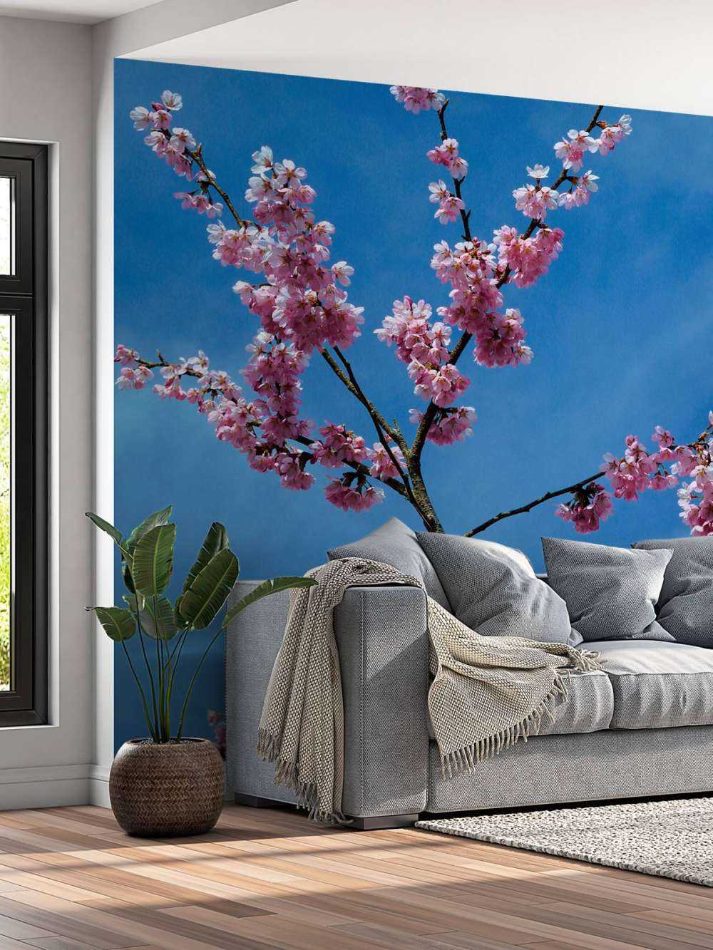 Japanse roze bloesems