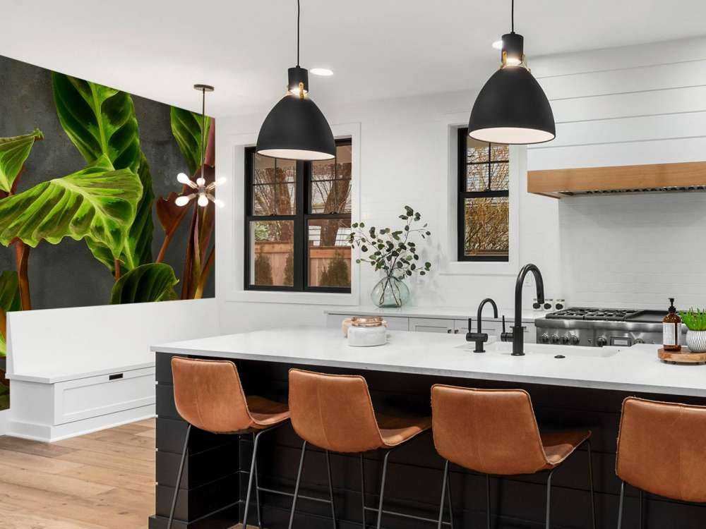 Plant with beautiful green leaves