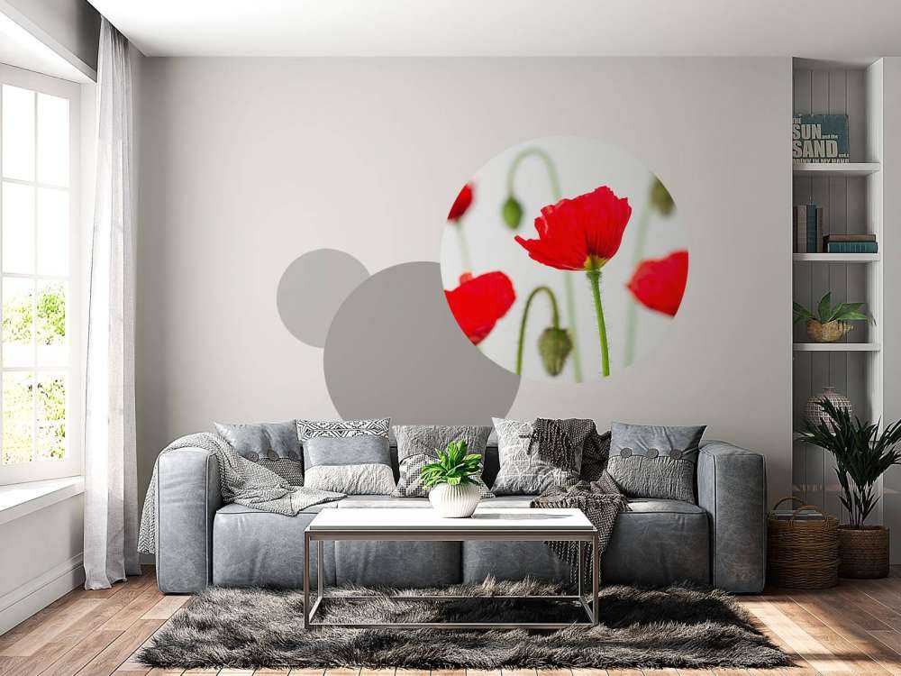 Close-up red poppies