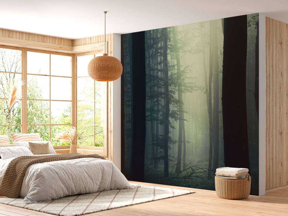 Sunbeam in forest