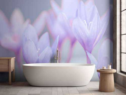 Crocus
