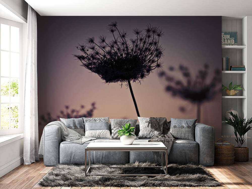 Silhouette of flowers