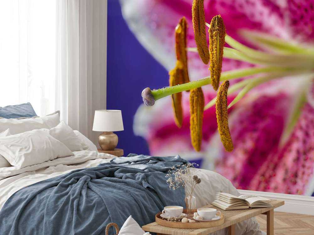 Close-up pink flower