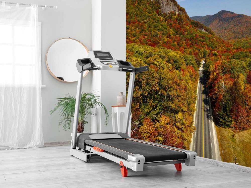 Road through the autumn landscape