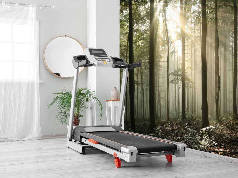 Autumn deciduous forest