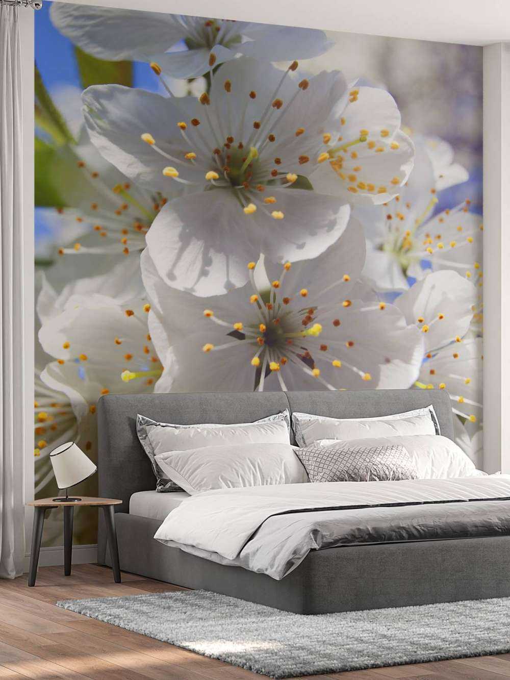 Close-up white blossoms