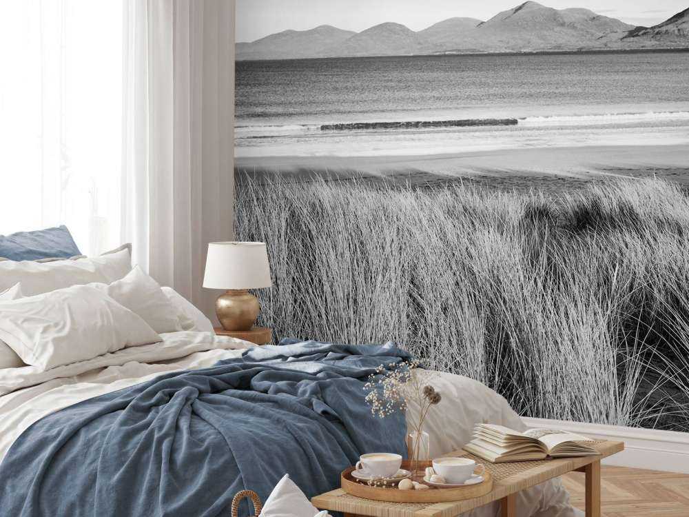 Marram grass, beach and mountains
