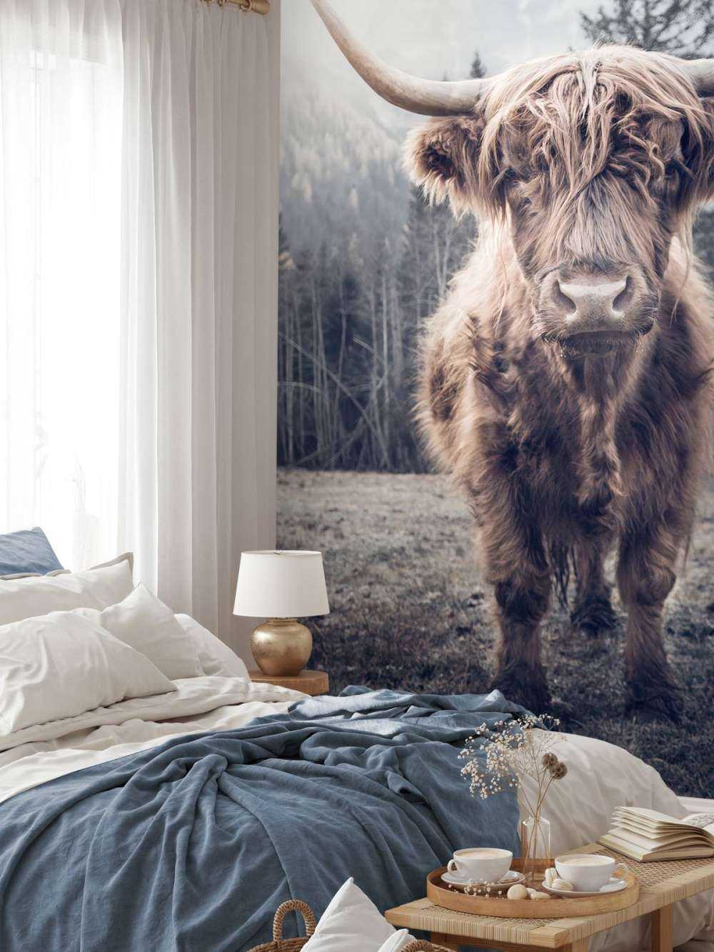 Scottish Highlander by the forest