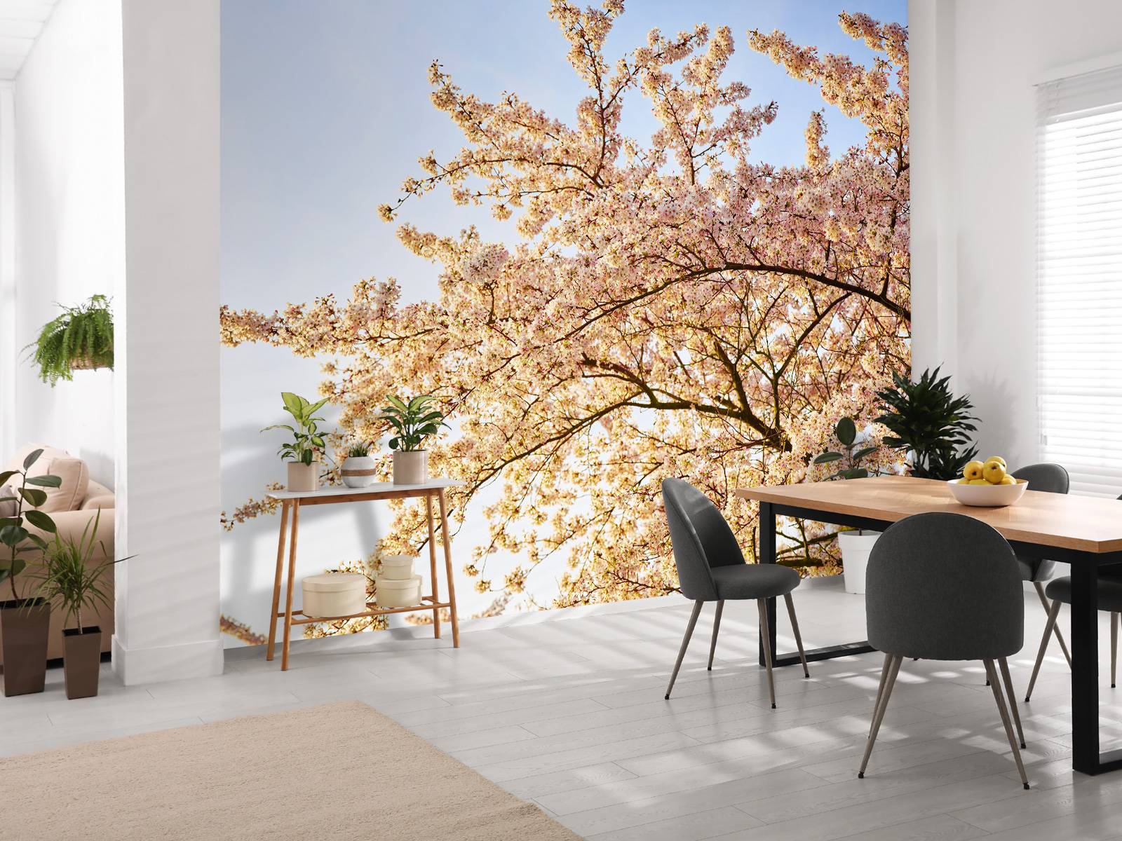 Blossom branch in bloom
