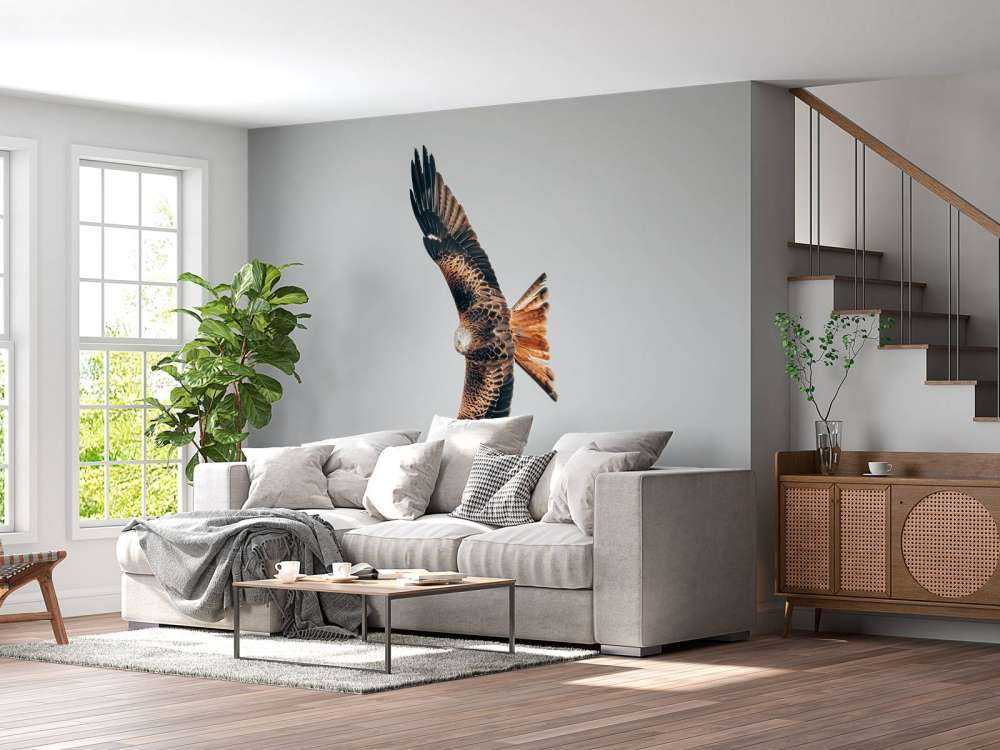 Red kite with wings spread