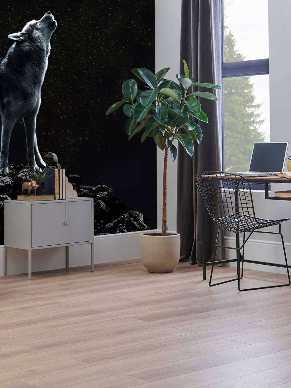 Moon Call Solitary Watchman