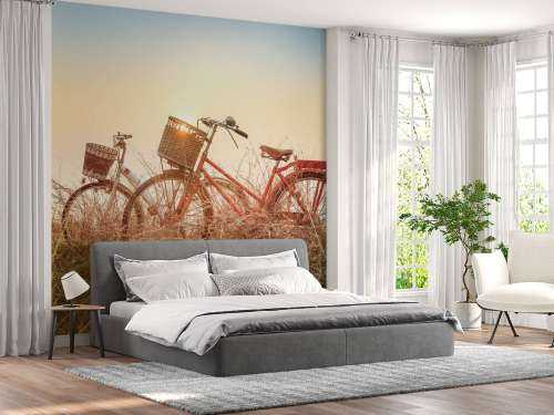 Vintage bikes