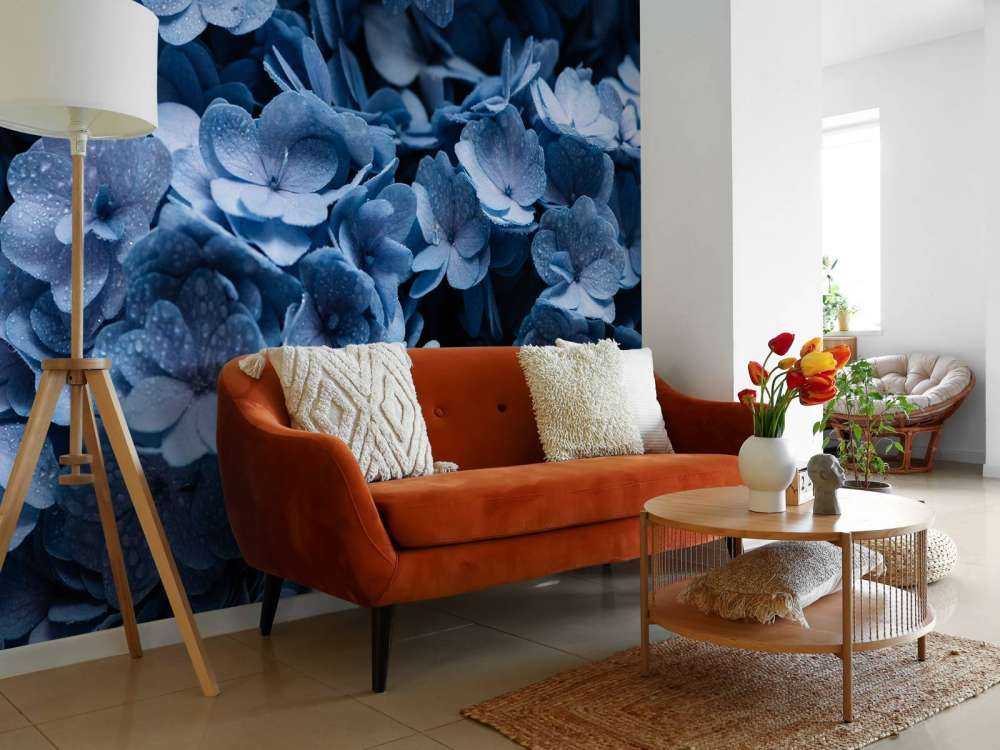 Close-up hydrangeas