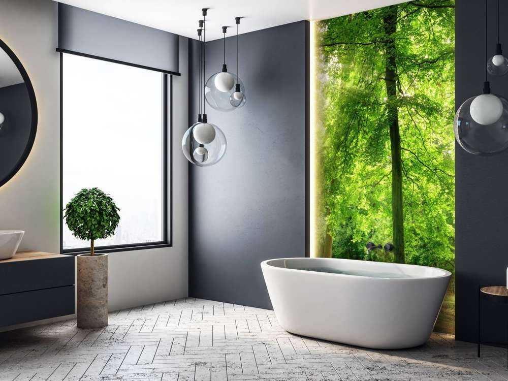 Forest with light mist