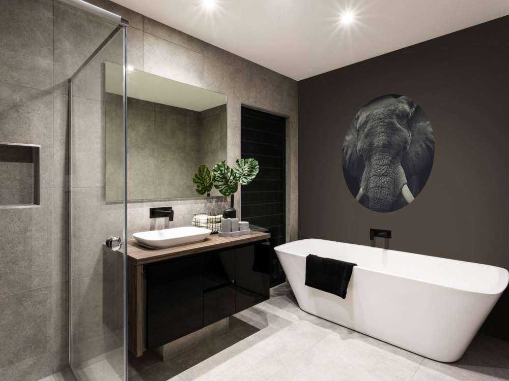 Close-up of an elephant