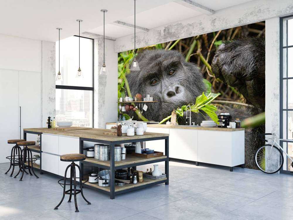 Gorilla between the branches