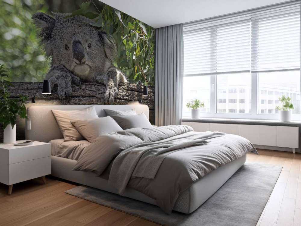 Cute koala