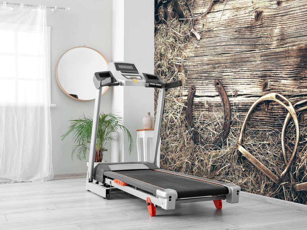 Equipment for horses