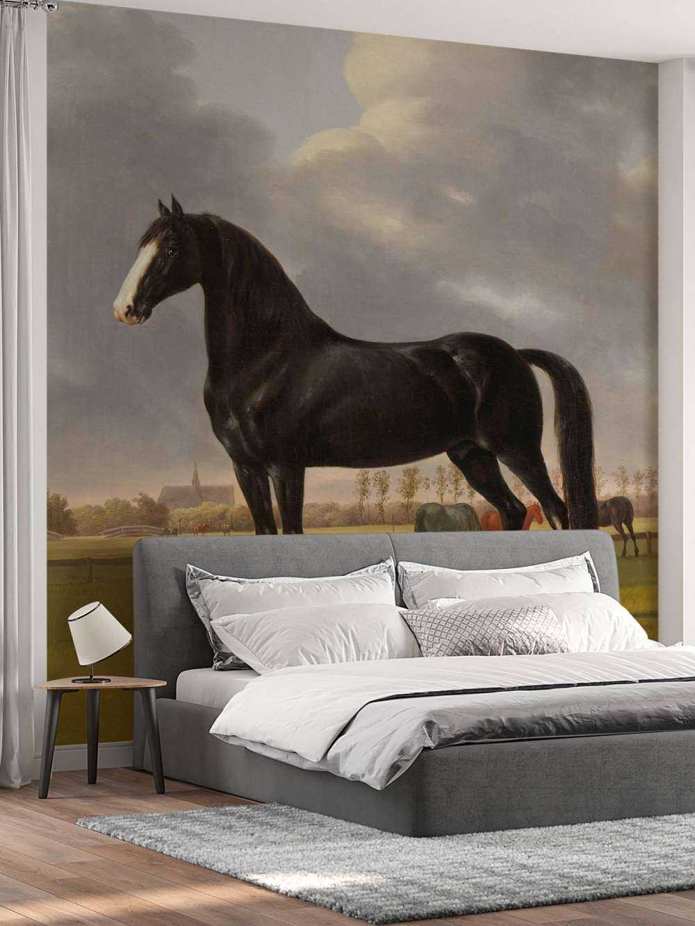 Photo wallpaper horse. The harddrawer De Vlugge