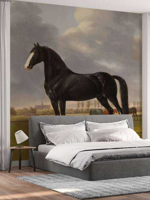 Photo wallpaper horse. The harddrawer De Vlugge